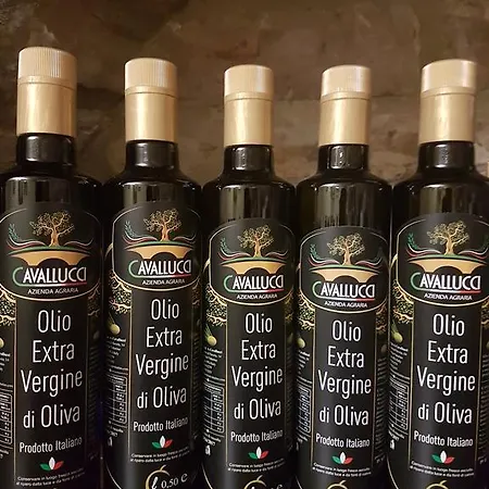 מלון Ponte San Vittorino 2*