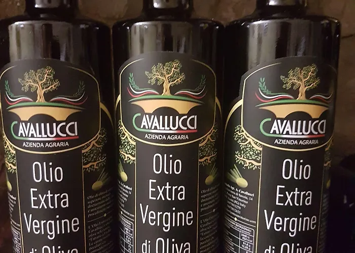 Ponte San Vittorino Hotel