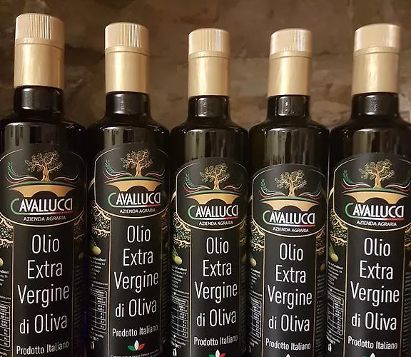 Hotel Ponte San Vittorino 2*